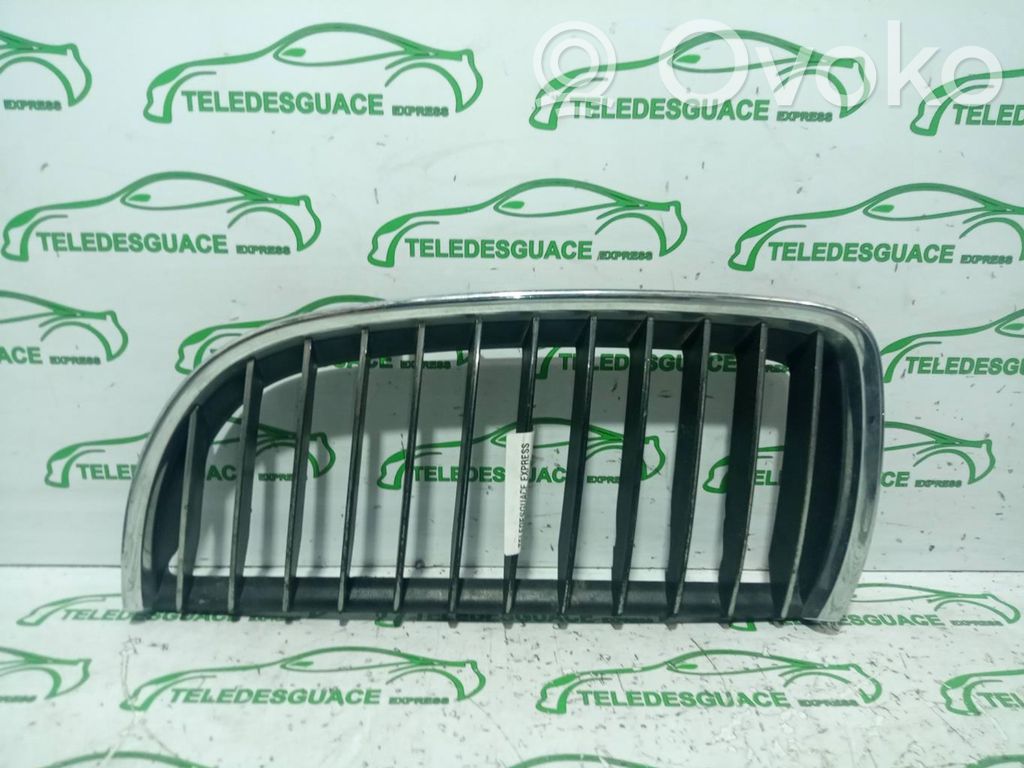 Front grill   22405910