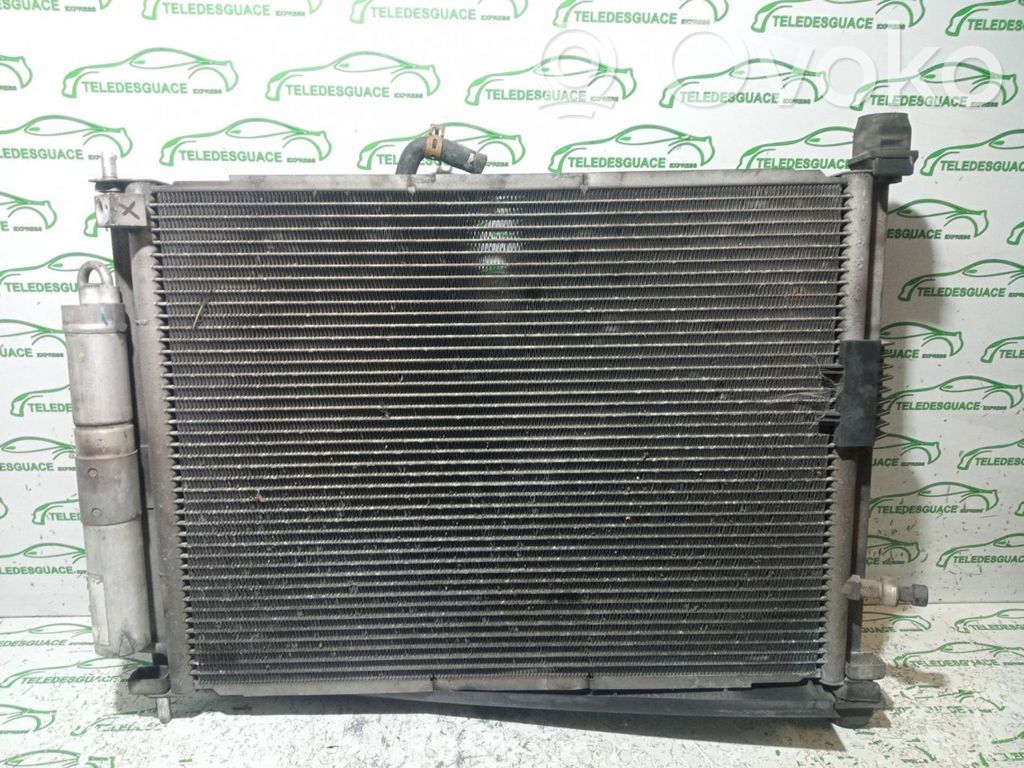 Renault Clio III Coolant radiator 