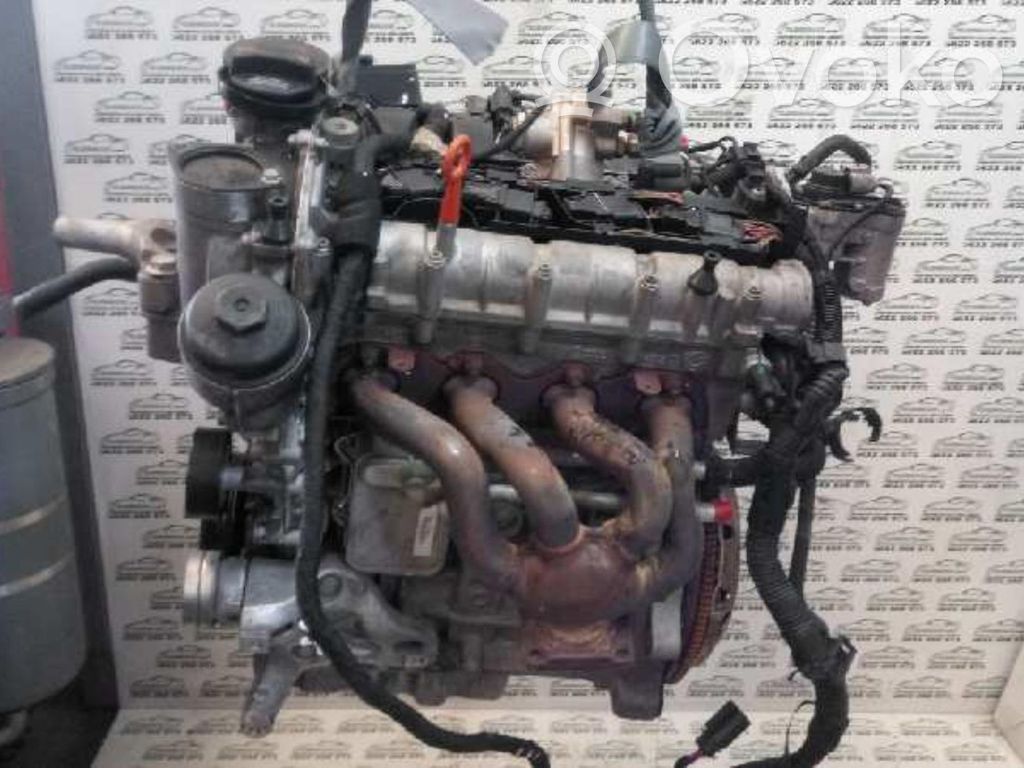 Motor   BLF