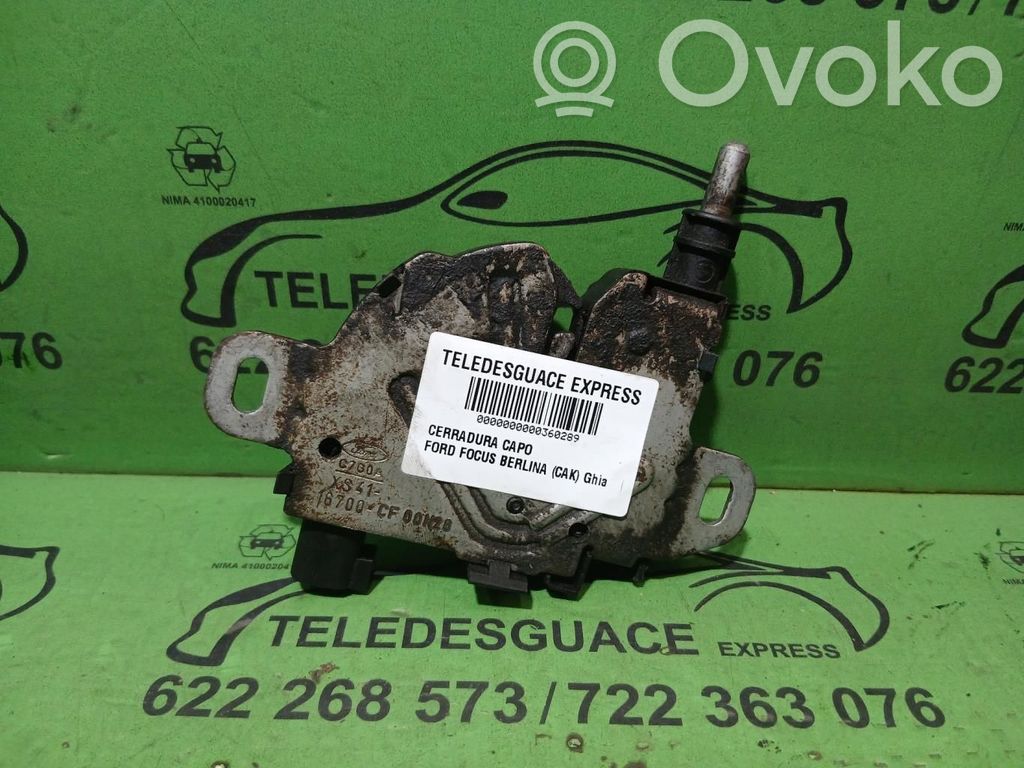 Ford Focus Tie down hook / loop 
