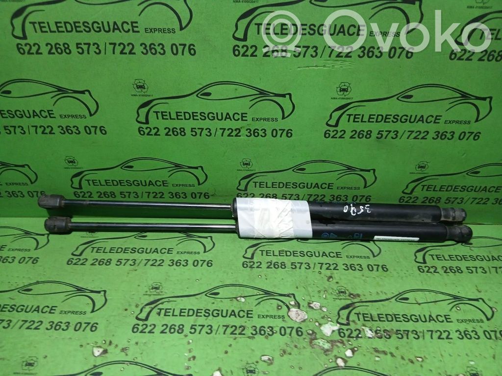 Citroen C3 Amortizor hayon 