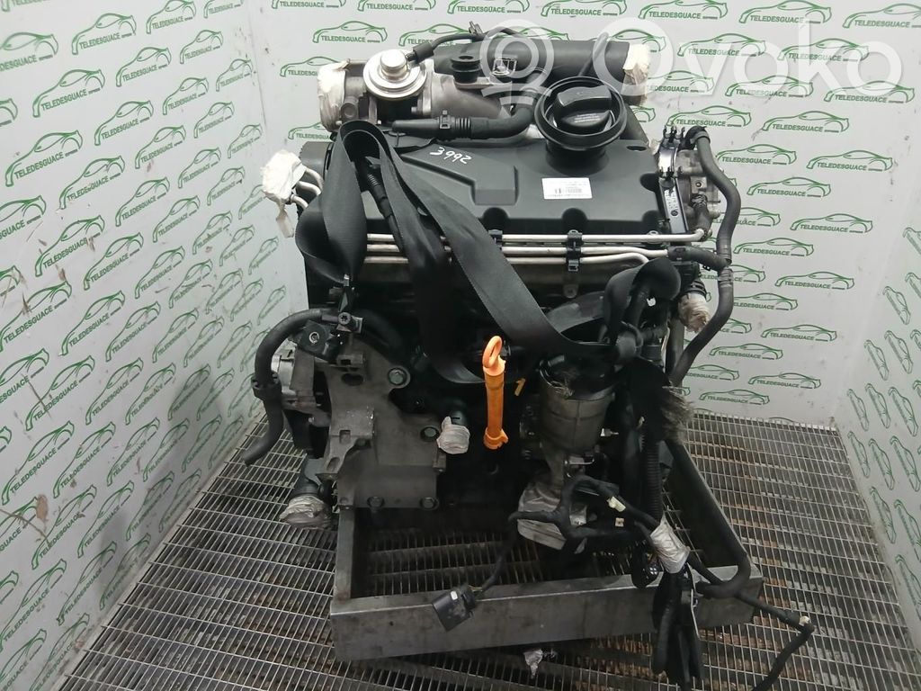 Motor   BKC