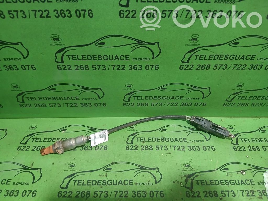 Sonde lambda   F1F19Y460EA