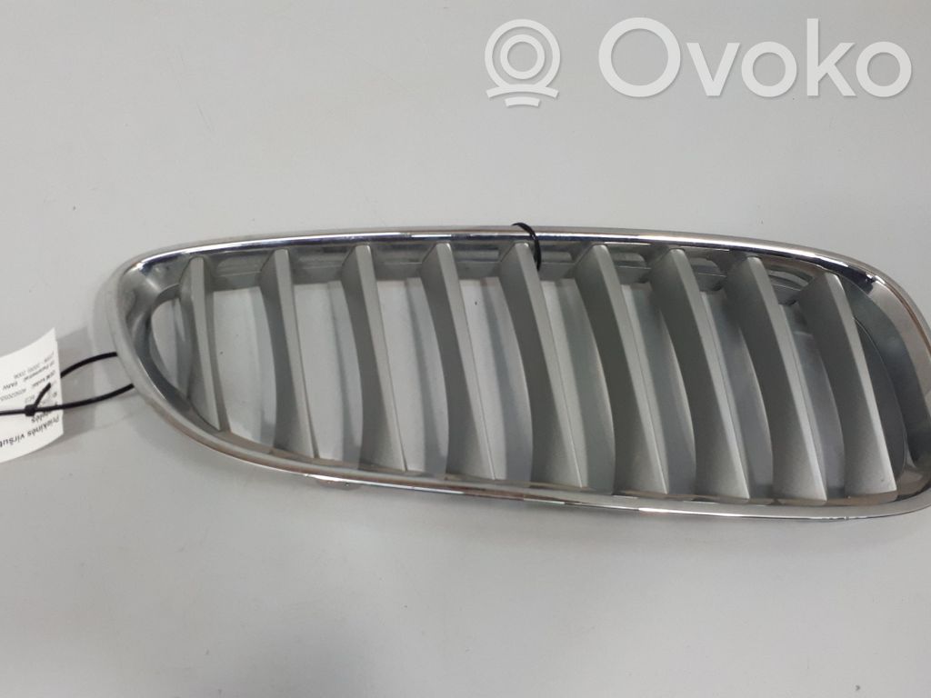 BMW Z4 E85 E86 Grilă radiator față 