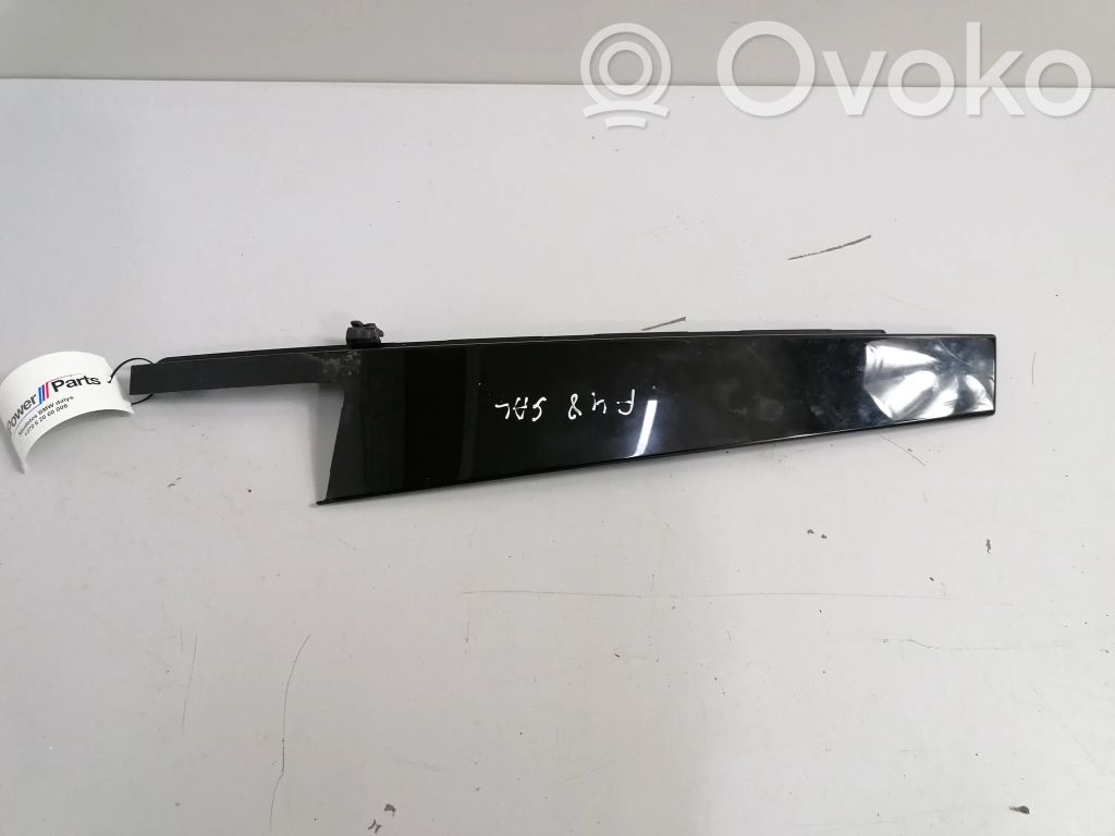BMW X1 E84 Listwa / Uszczelka szyby drzwi tylnych 
