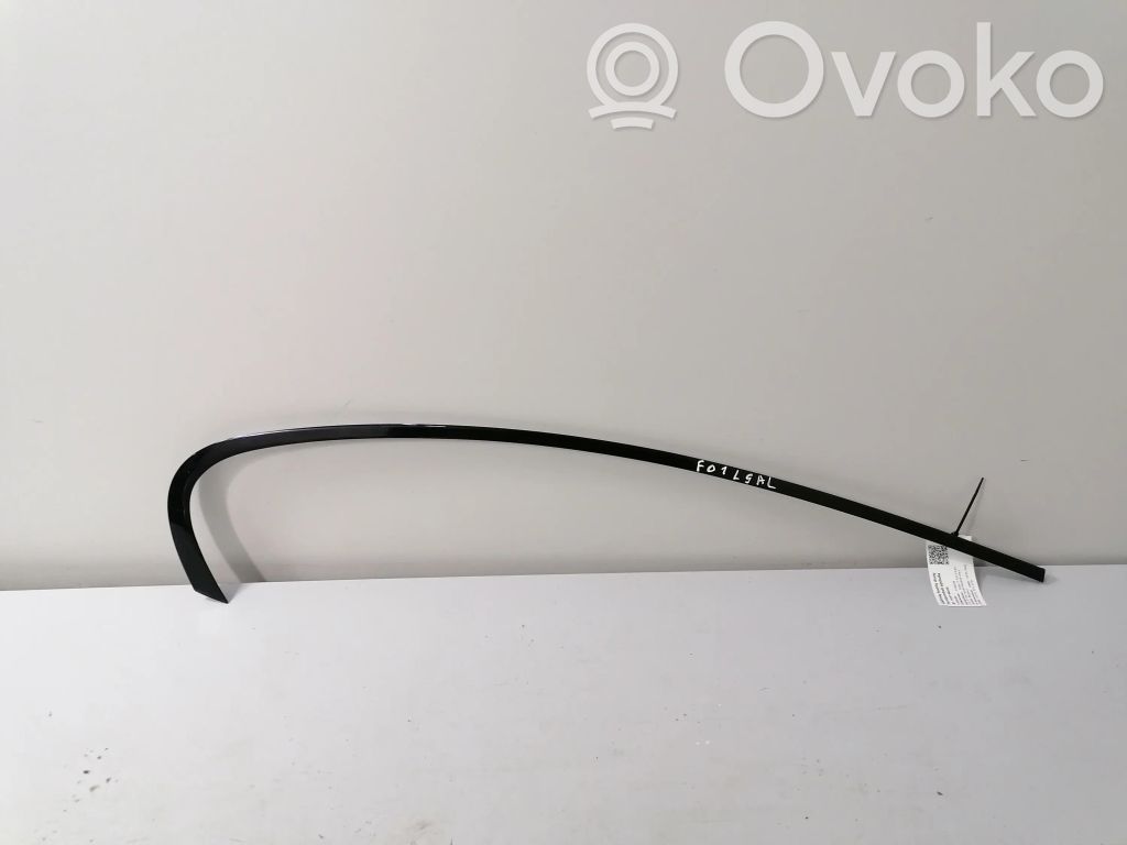 BMW 7 F01 F02 F03 F04 Listwa / Uszczelka szyby drzwi tylnych 