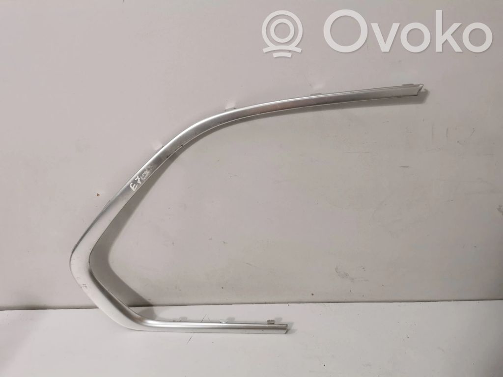 BMW X5 E70 Rivestimento portiera posteriore (modanatura) 