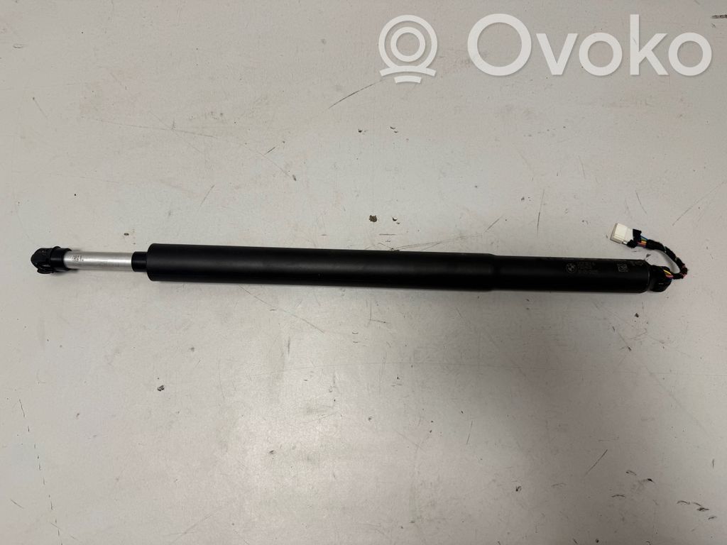 Tailgate/trunk strut/damper   5A2FBE5