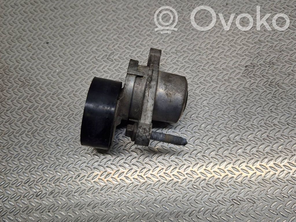 Peugeot 208 I Napinacz paska alternatora 