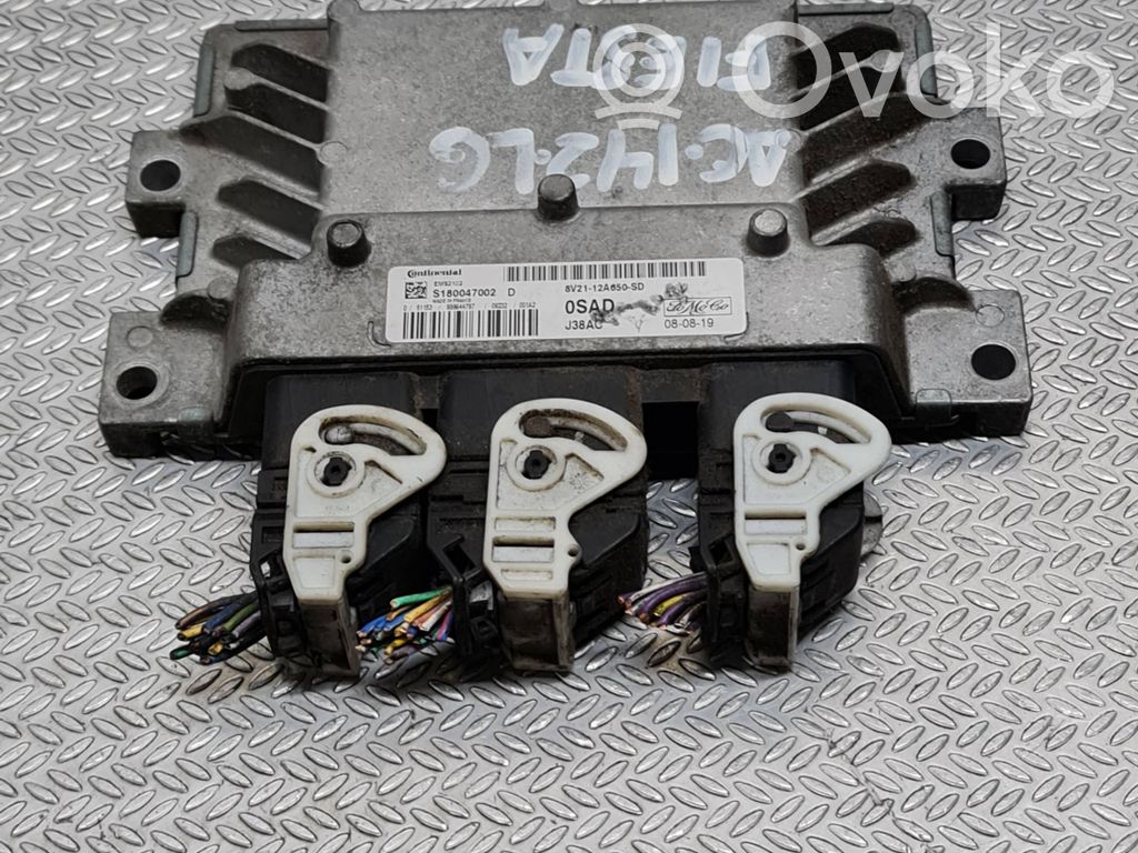 Ford Fiesta Engine control unit/module 