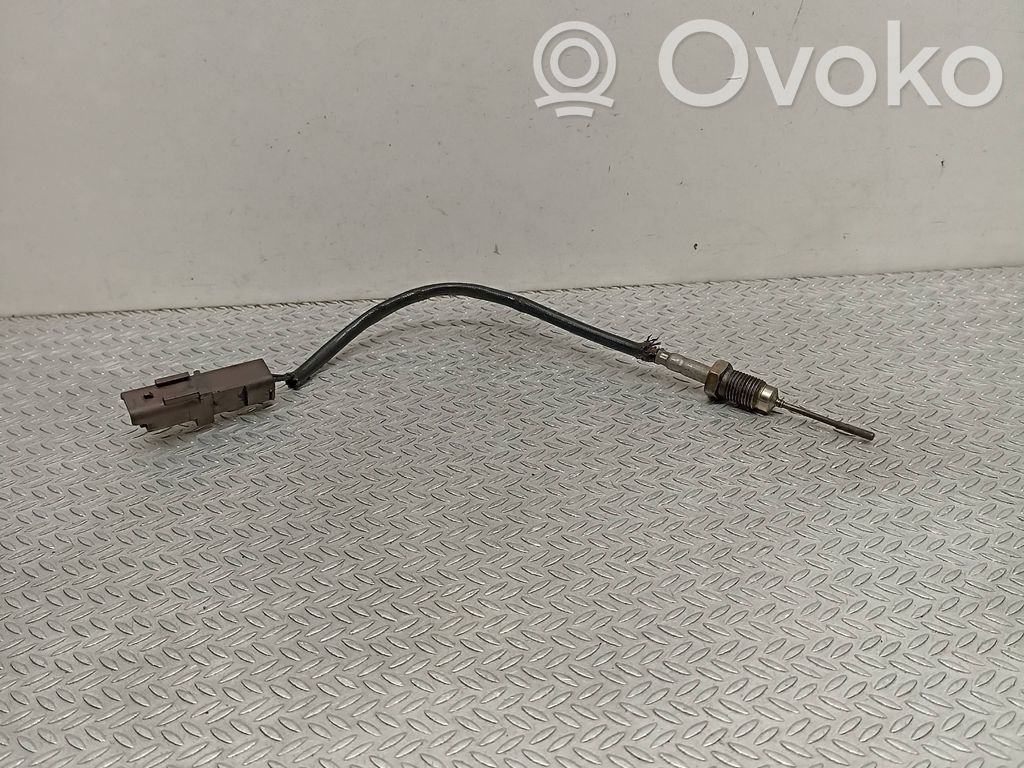Citroen C4 I Picasso Išmetamųjų dujų temperatūros daviklis 