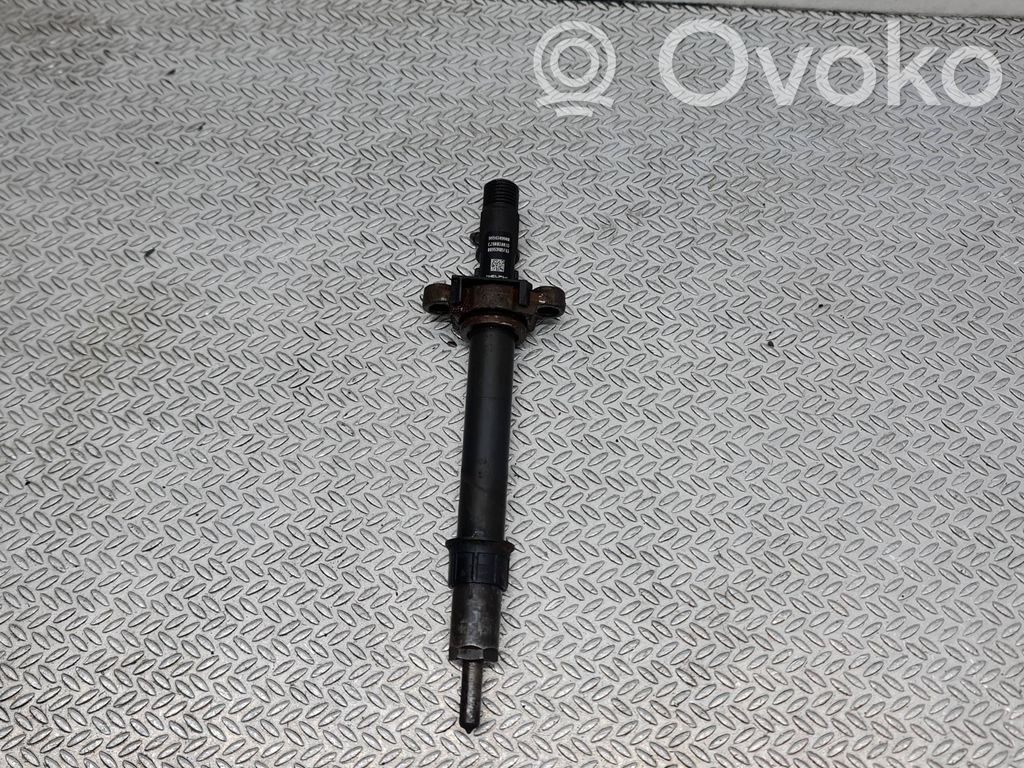 Peugeot 407 Fuel injector 