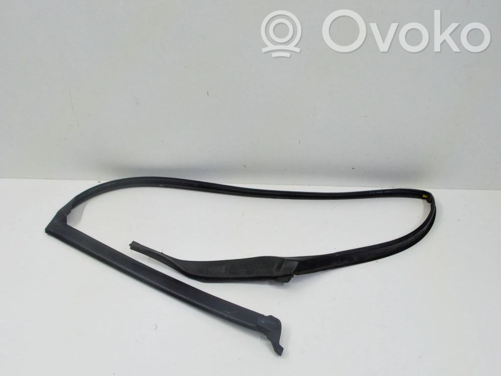 BMW 5 F10 F11 Cheder cauciuc ușă spate 