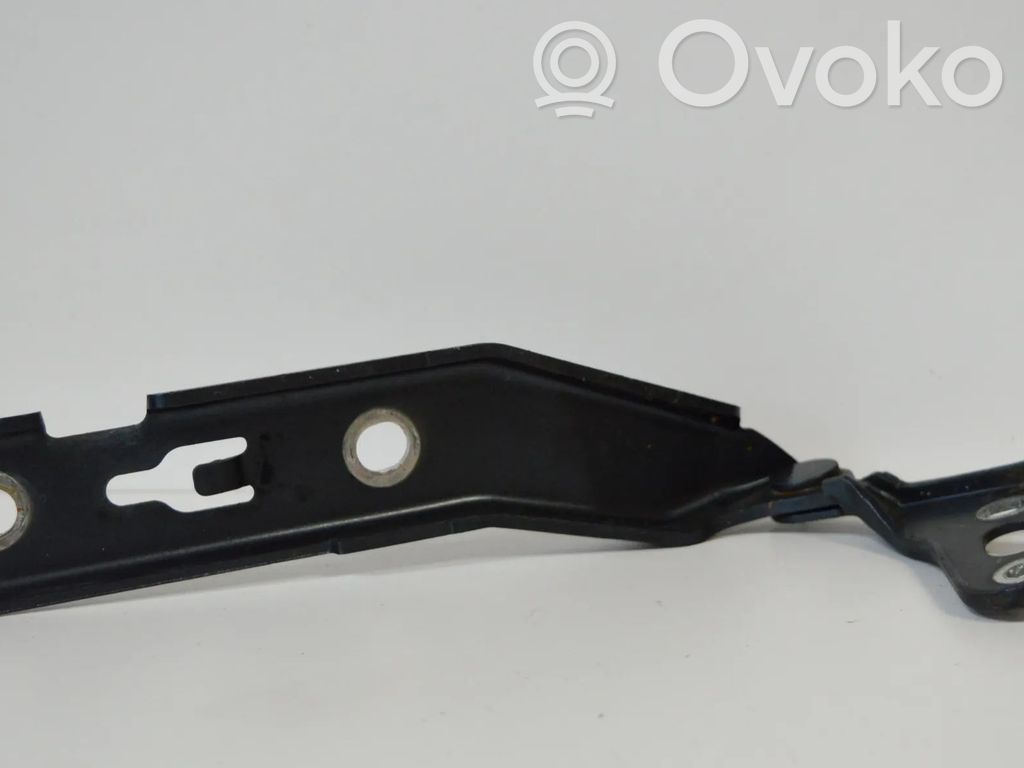 Audi A6 S6 C6 4F Engine bonnet/hood hinges 