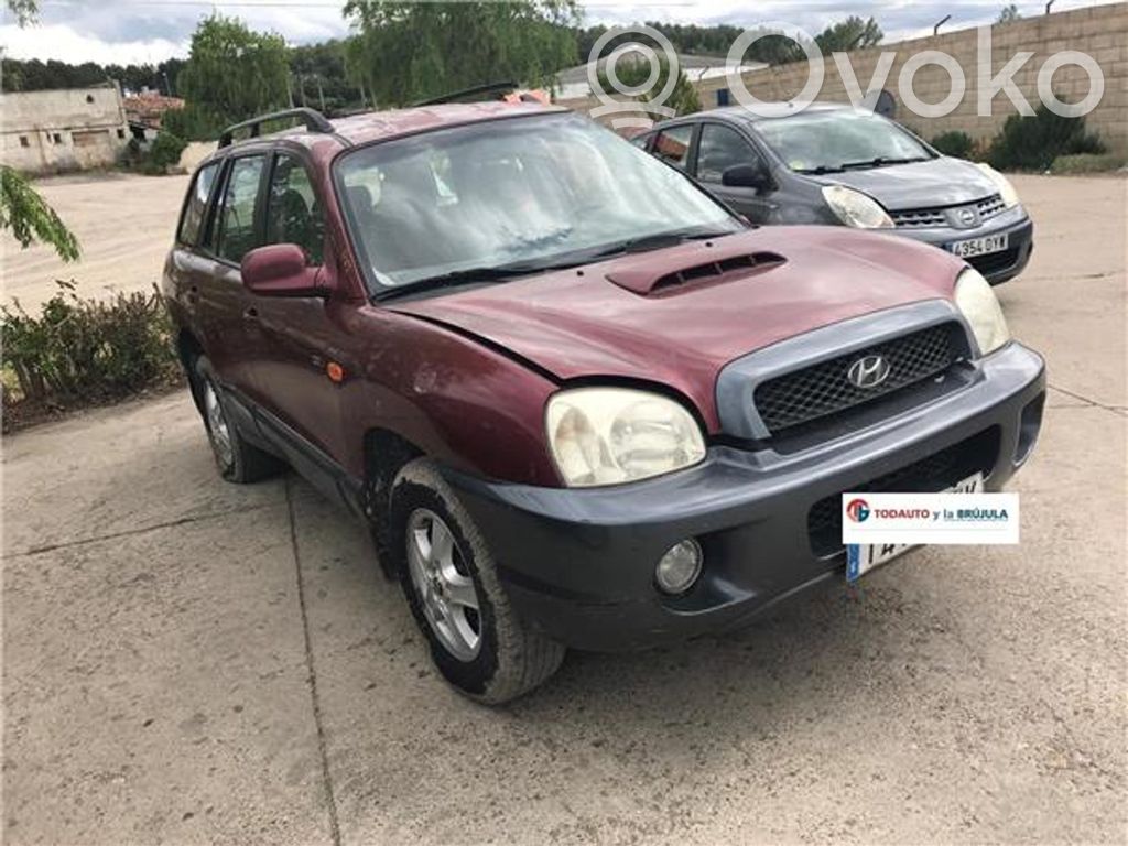 Hyundai Santa Fe Galinis reduktorius 