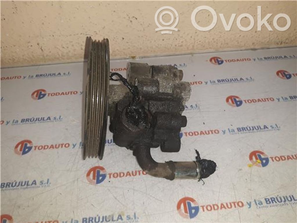 Chrysler Voyager Power steering pump 