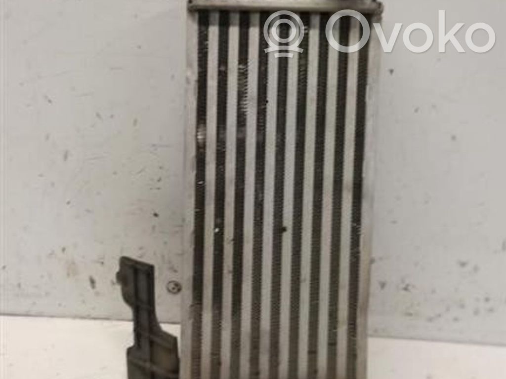 Lancia Ypsilon Intercooler radiator 