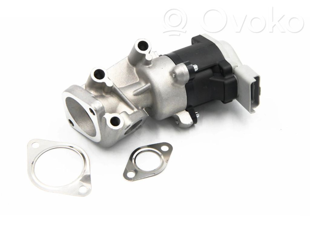 Citroen C6 Válvula EGR 