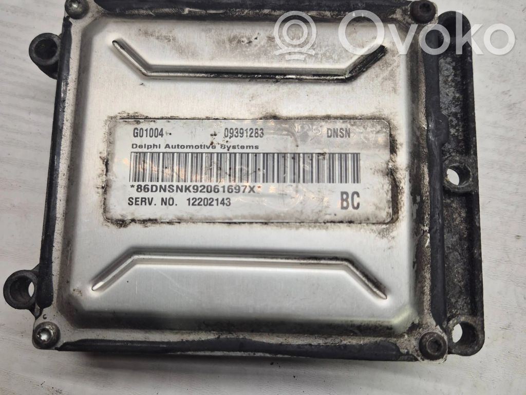 Engine control unit/module   09391283,12202143,G01004