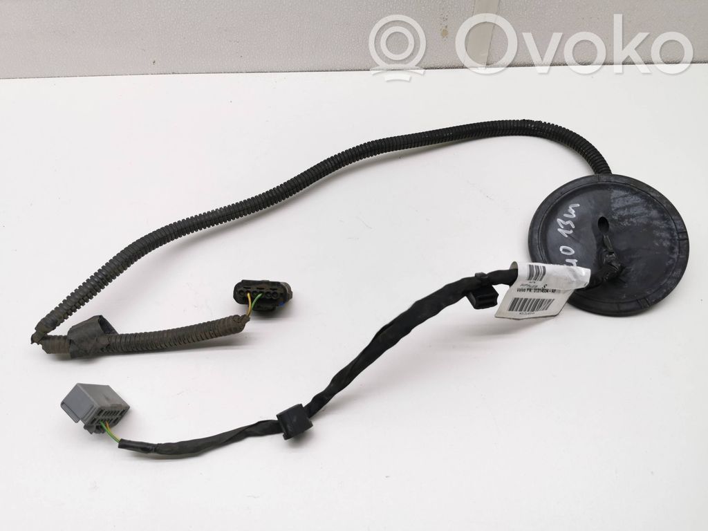 Otros cableados   31314534,31314534F
