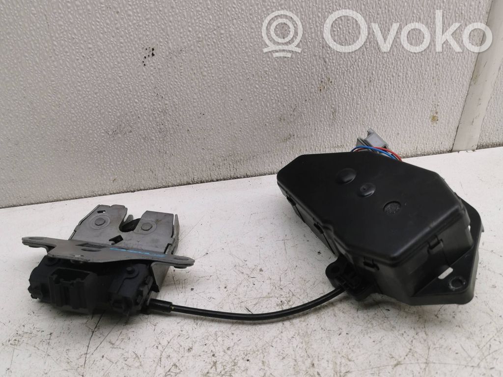 Loading door lock   30784560