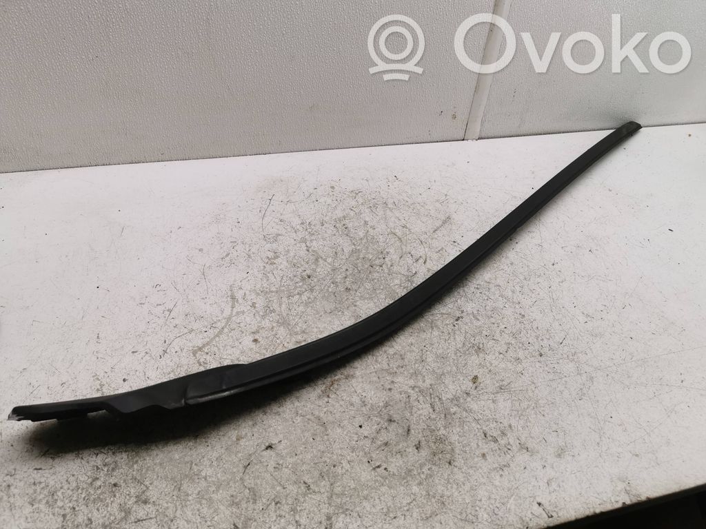 Windshield trim   31378572