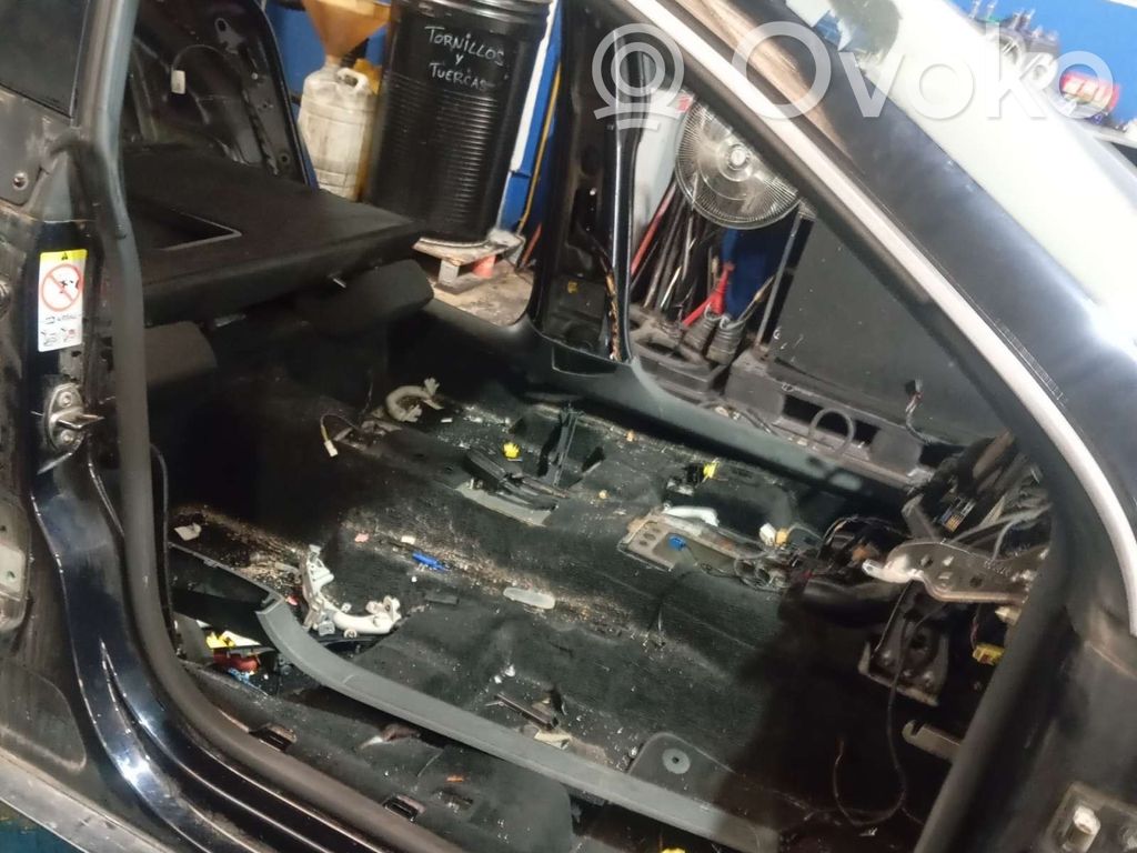 Volkswagen Passat Alltrack Gummidichtung Tür vorne 