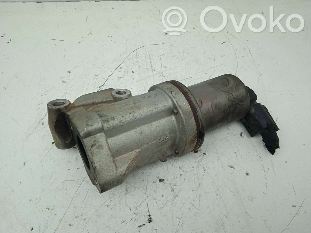 Válvula EGR   284102A100