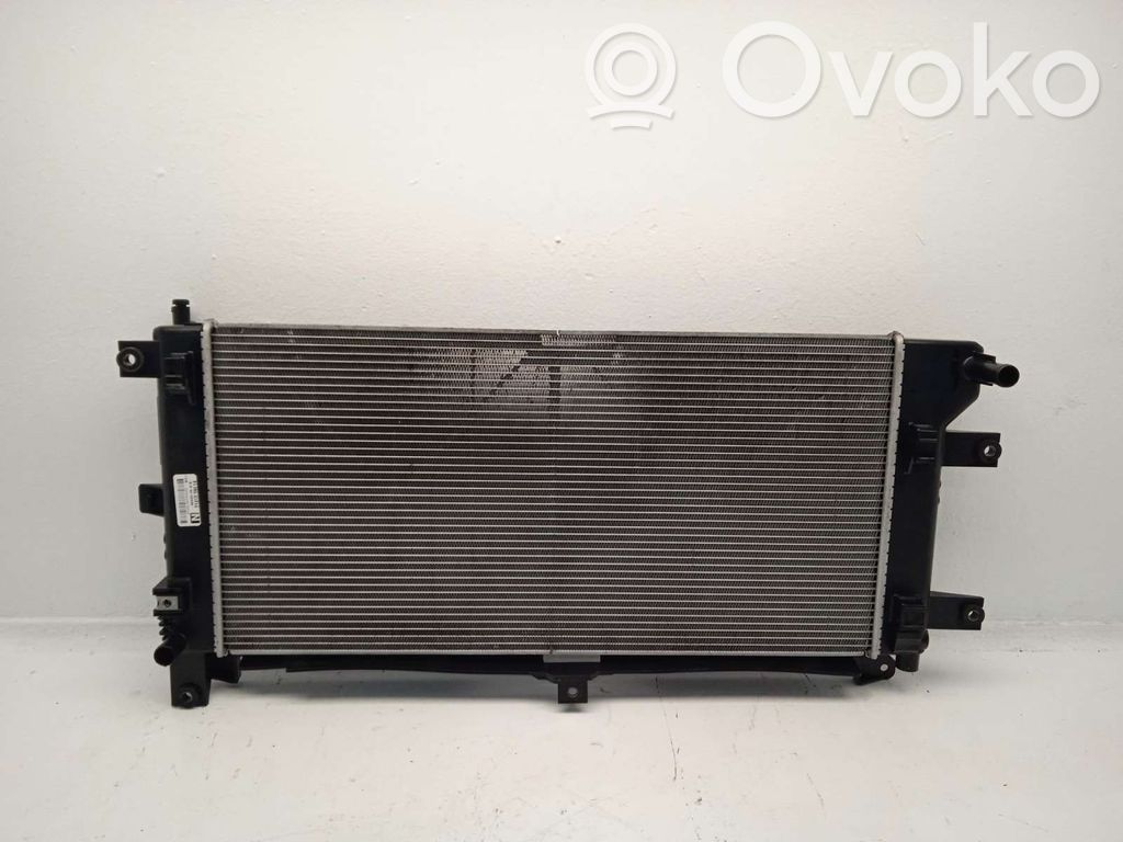Nissan Leaf I (ZE0) Radiator lichid răcire 