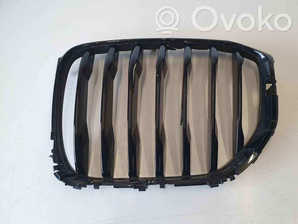 BMW X5 G05 Grilă radiator față 