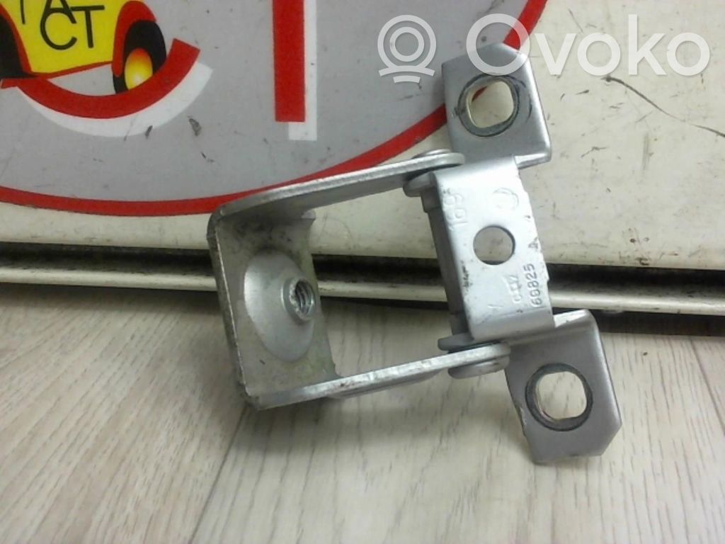 Tailgate/trunk/boot hinge