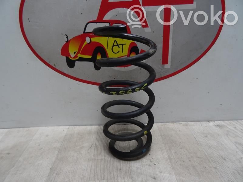 Rear coil spring