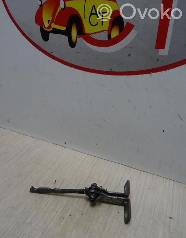 Rear door lock loop/hook striker