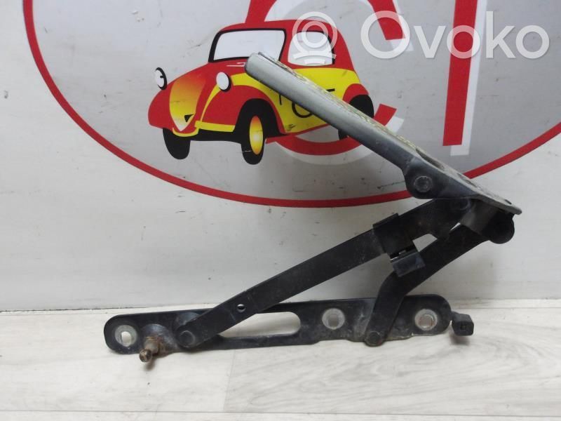Tailgate/trunk/boot hinge