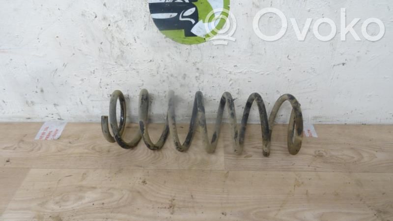 Front coil spring   4111184A00,4111184A00