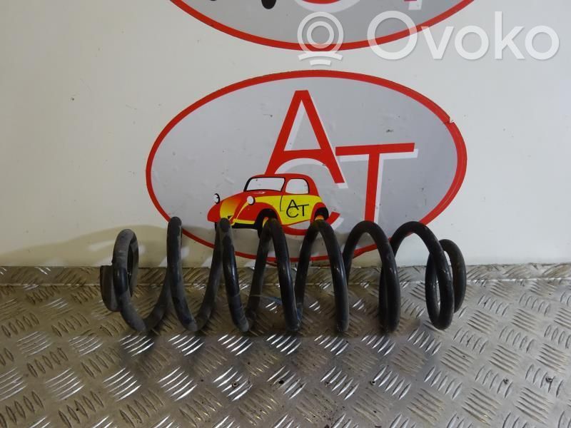 Rear coil spring