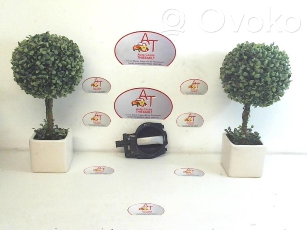 Citroen C3 Maniglia interna per portiera anteriore