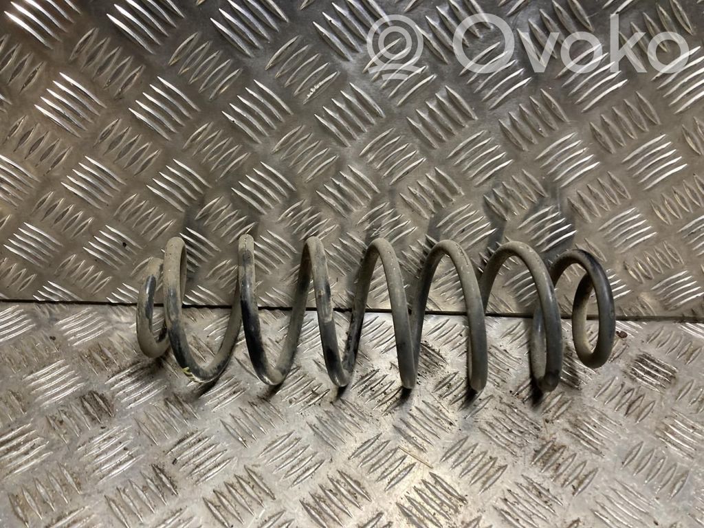 Rear coil spring   1859224,1859224