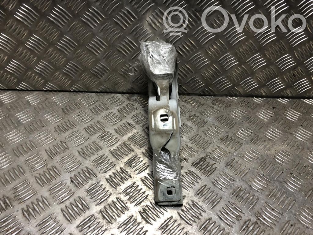 Citroen C3 Engine bonnet/hood hinges 