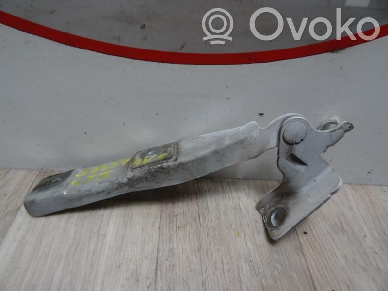 Charnière, capot moteur   00007912F7,00007912F7