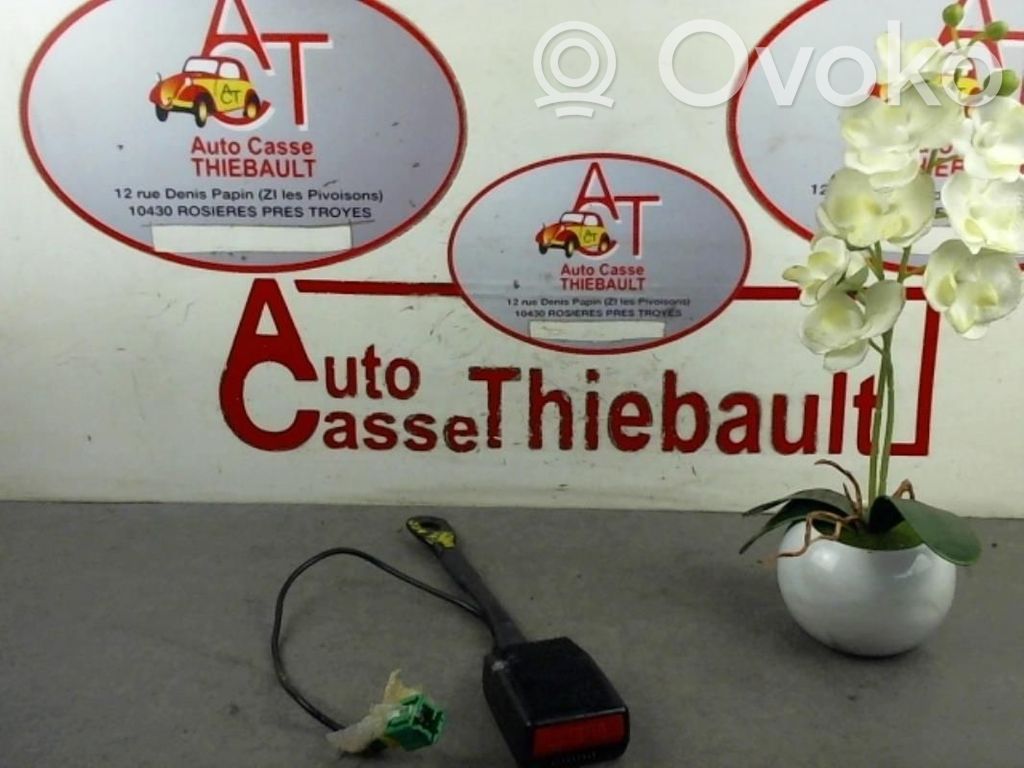 Citroen C6 Sagtis diržo galine 