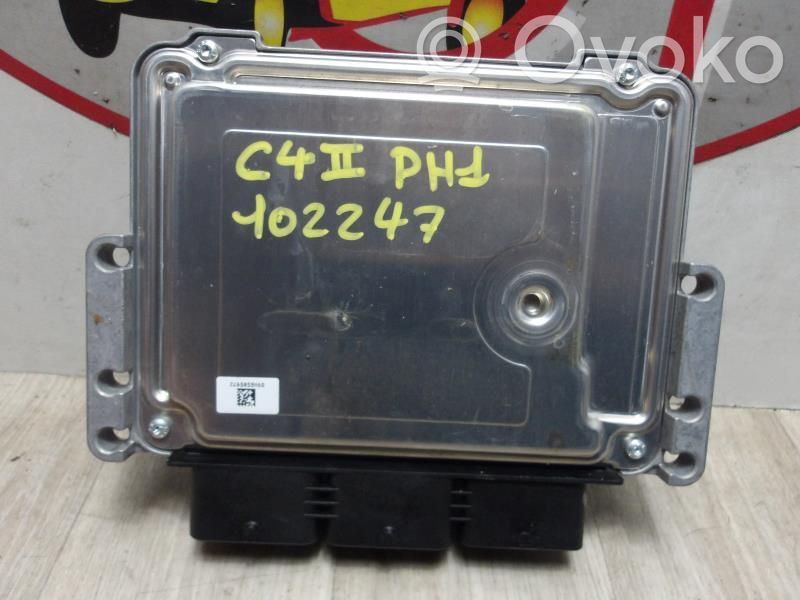 Engine control unit/module   194496,194496