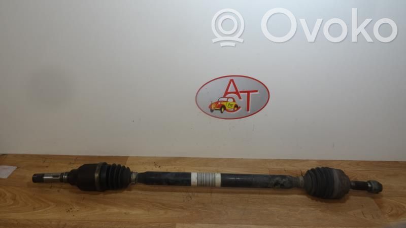 Albero di trasmissione (set)   9801388680,9801388680