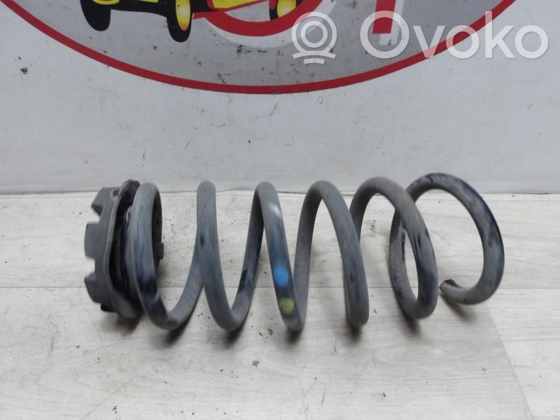 Arc elicoidal spate   550202996R,550202996R