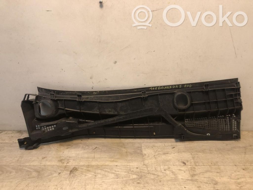 Rivestimento del tergicristallo