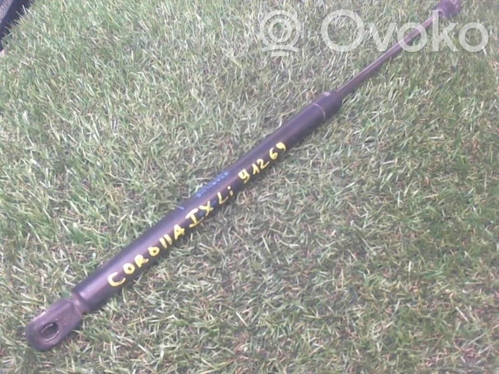 Tailgate/trunk strut/damper   6896002032,6896002032
