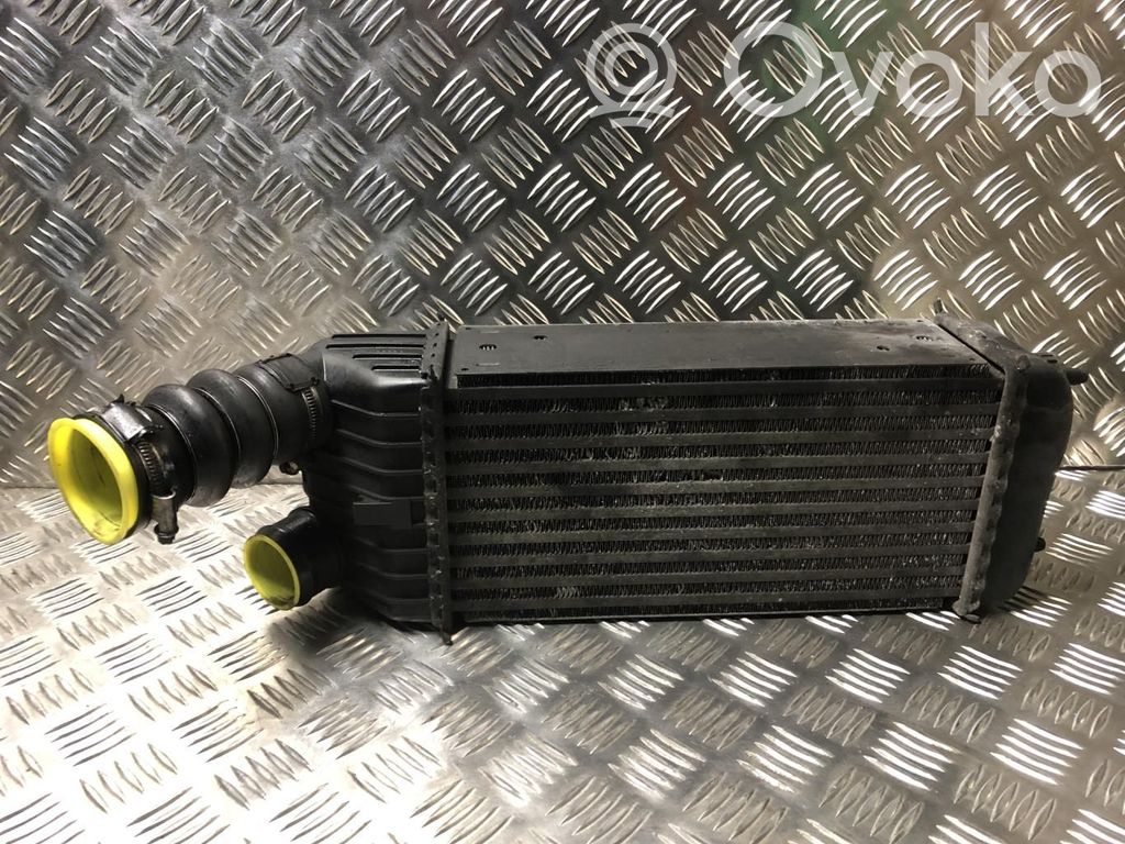 Peugeot 207 Intercooler radiator 