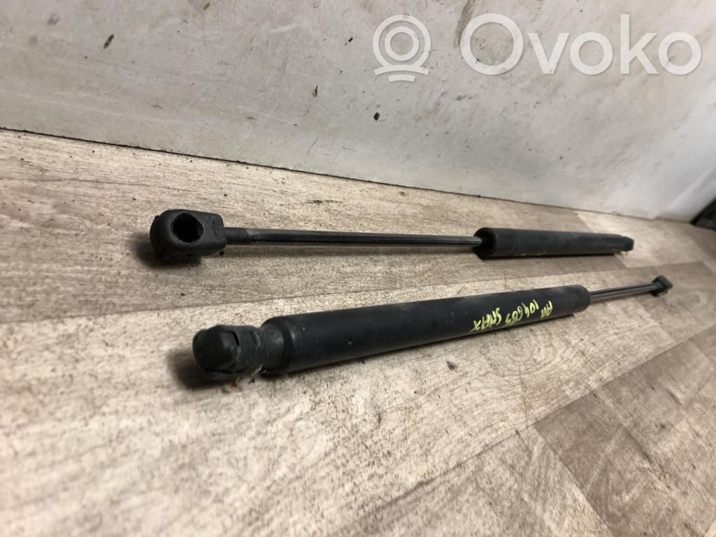 Ford S-MAX Tailgate/trunk strut/damper 