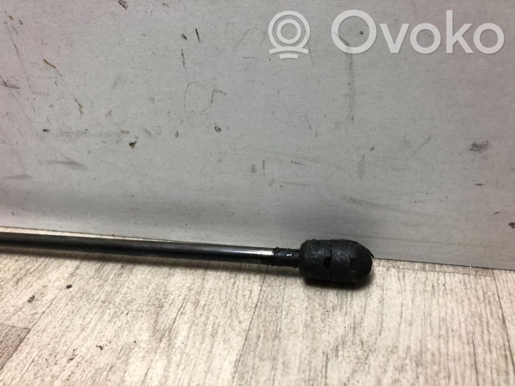 Tailgate/trunk strut/damper