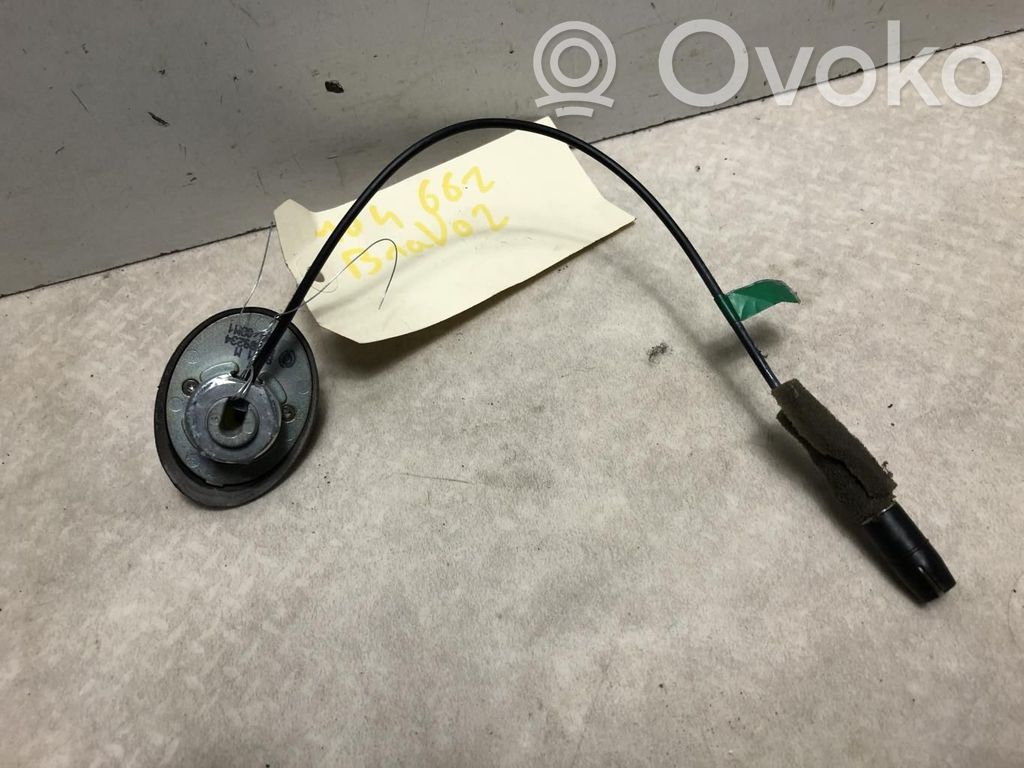 Radion antenni